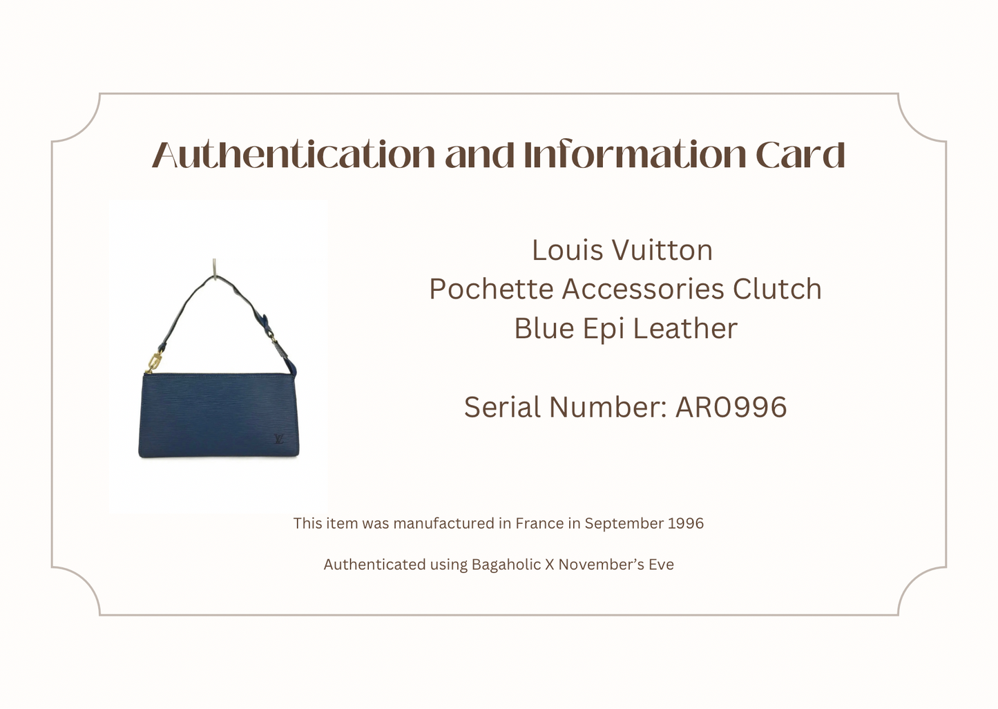 Louis Vuitton Epi Pochette Accessoires Pouch Hand Bag