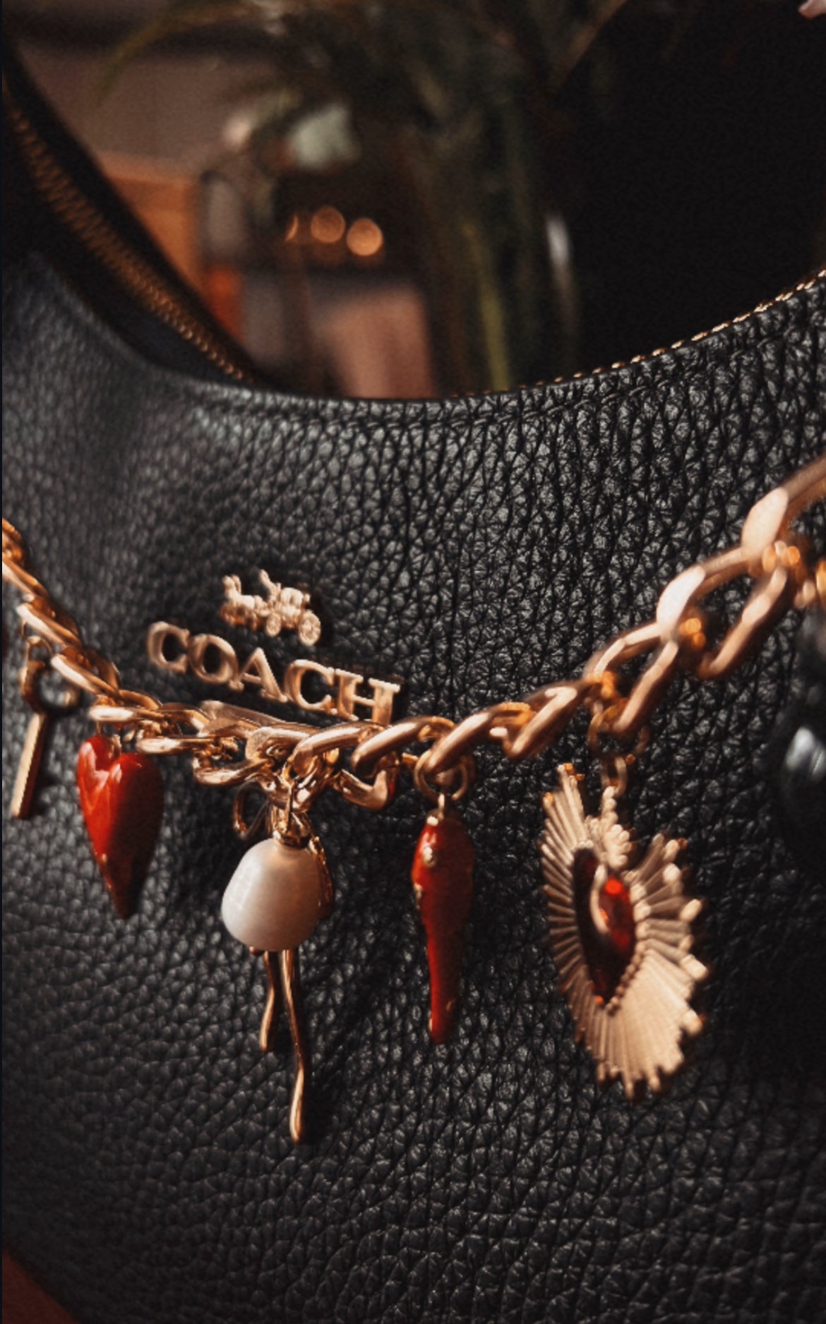 Purse Charms & Chains
